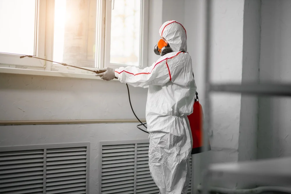 Professional mold remediation services in Spring Lake, NC